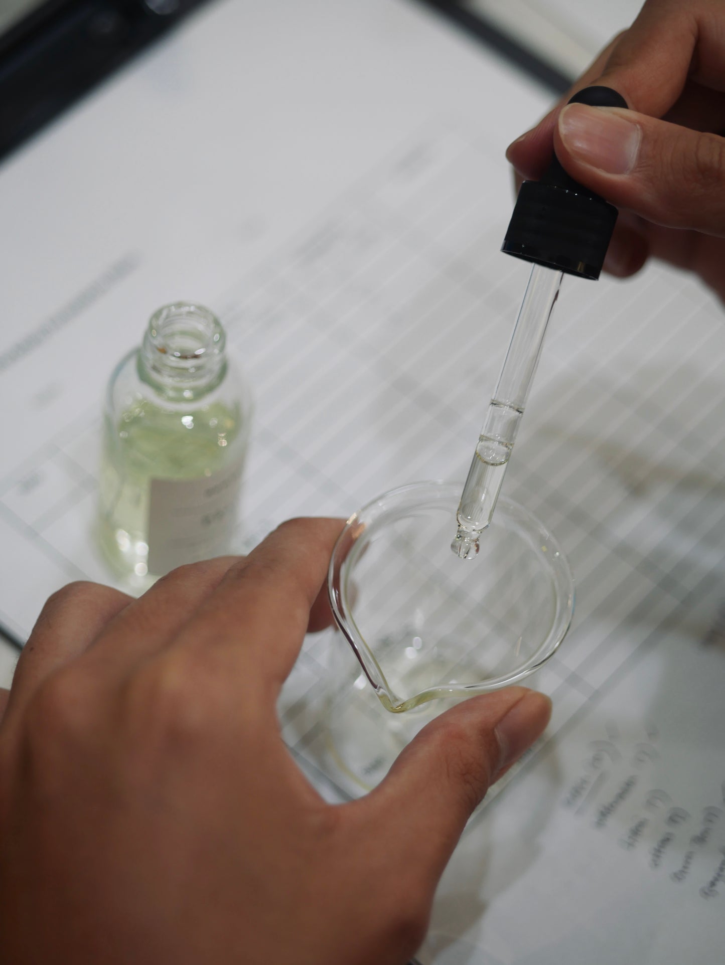 Artisanal Perfume Workshop 30ml